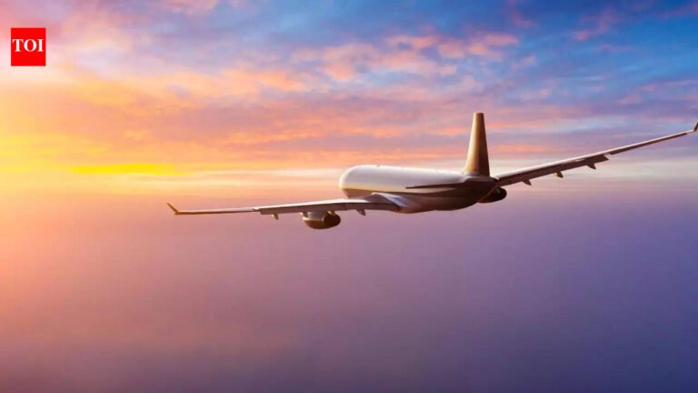 Up to 2-year no-fly ban proposed in DGCA draft: What travellers should know about where to file an appeal and next steps |