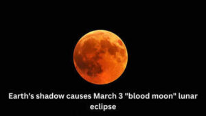 1771912016 image source freepik