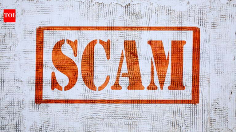 Indian man deported from Singapore in alleged job visa scam; how to spot and avoid visa fraud |