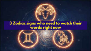 1772111373 toi image 1