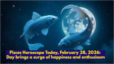 1772241143 toi image 11