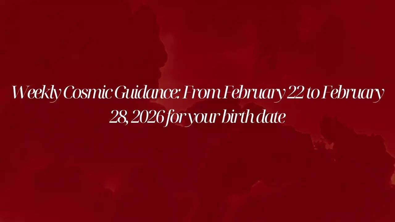 msid 128649083imgsize 23400.cms