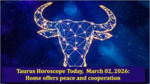 1772396952 toi image 1