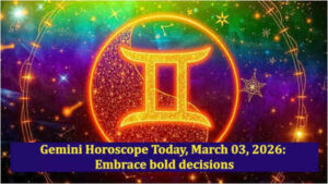 1772485272 toi image 2