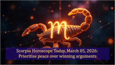 1772839346 toi image 7