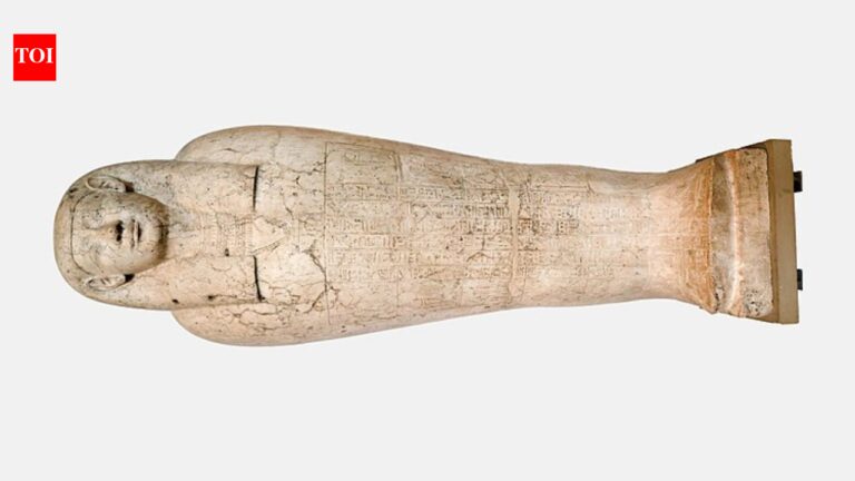 2,000-year mystery in Egypt: Skeletons in sarcophagus once linked to Alexander the Great’s tomb spark ‘mummy curse’ rumours |