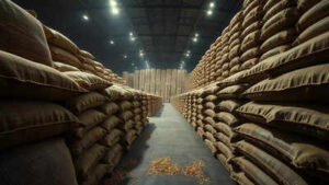 1773346338 unnamed file