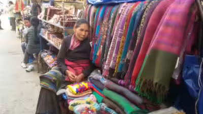 1774206173 unnamed file