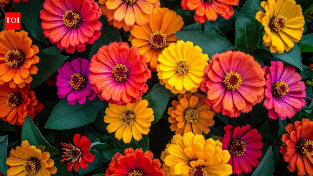 1774666853 photo