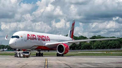 air india adds more flight to meet demands file