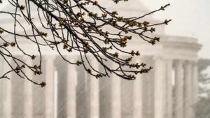 washington dc area schools shift to early dismissal and remote learning amid severe storm threat