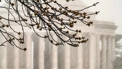 washington dc area schools shift to early dismissal and remote learning amid severe storm threat