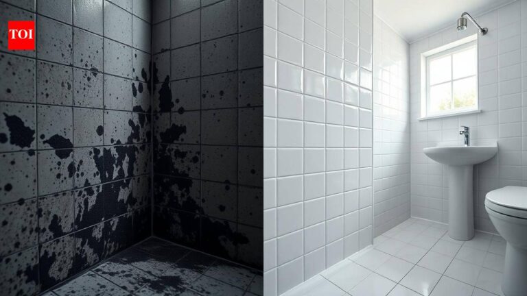 Simple bathroom additions that support mold control and improve air quality |