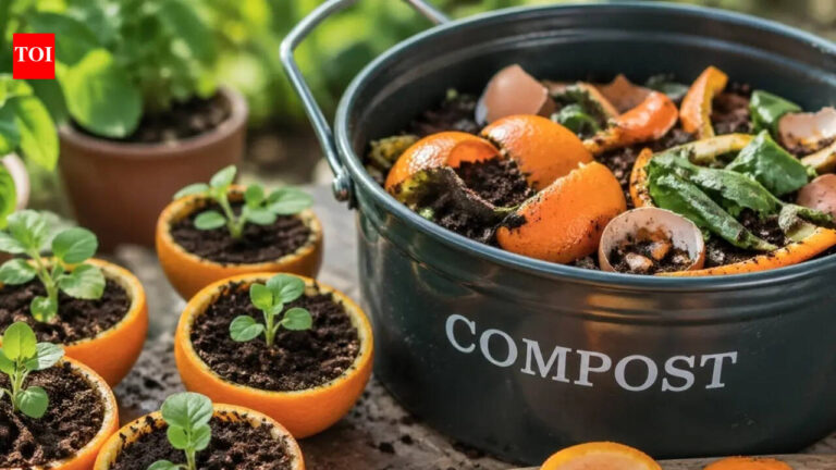 Why gardeners are using orange peels to grow healthier plants naturally |