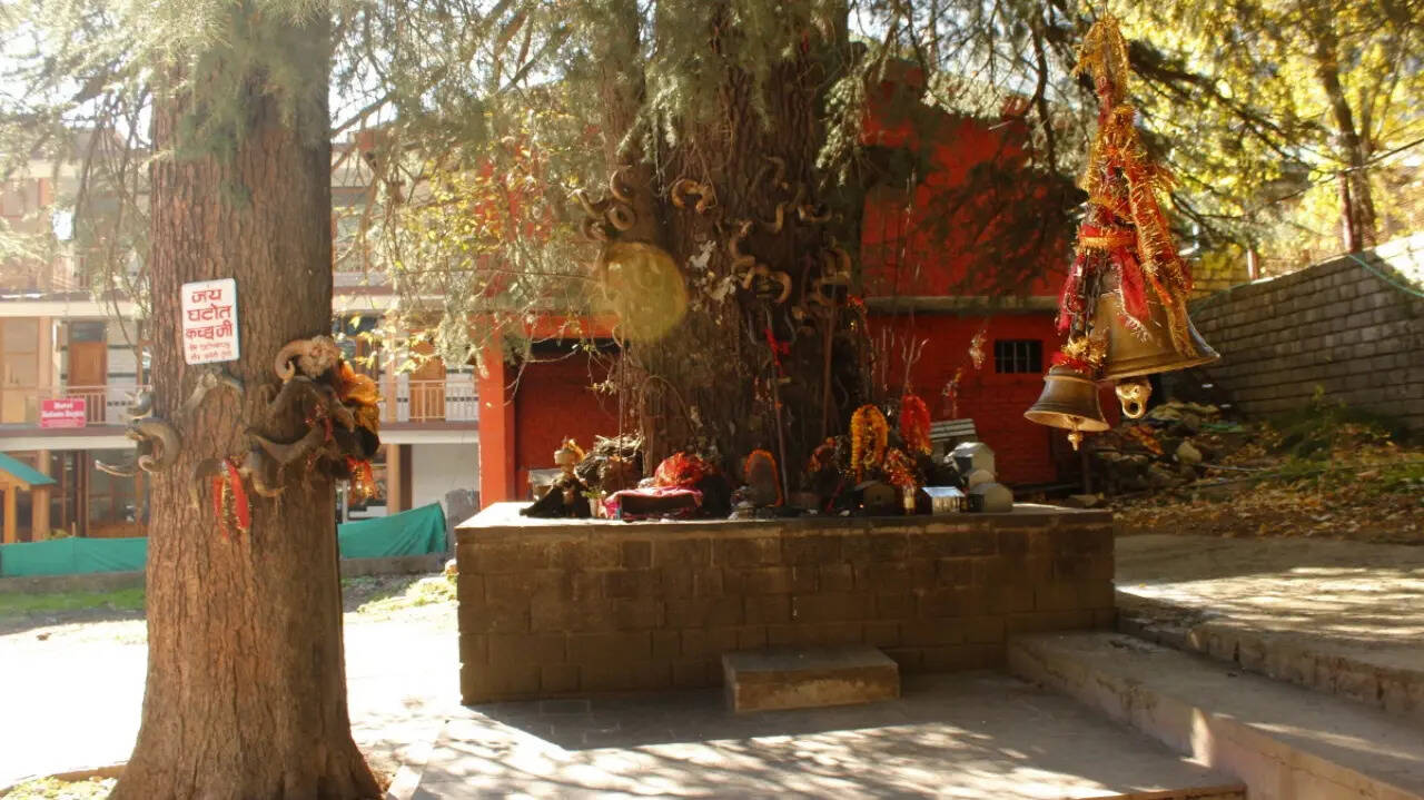 msid 129943265imgsize 110242.cms