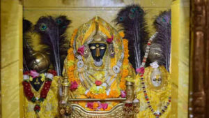 symbolism of maa bagalamukhi