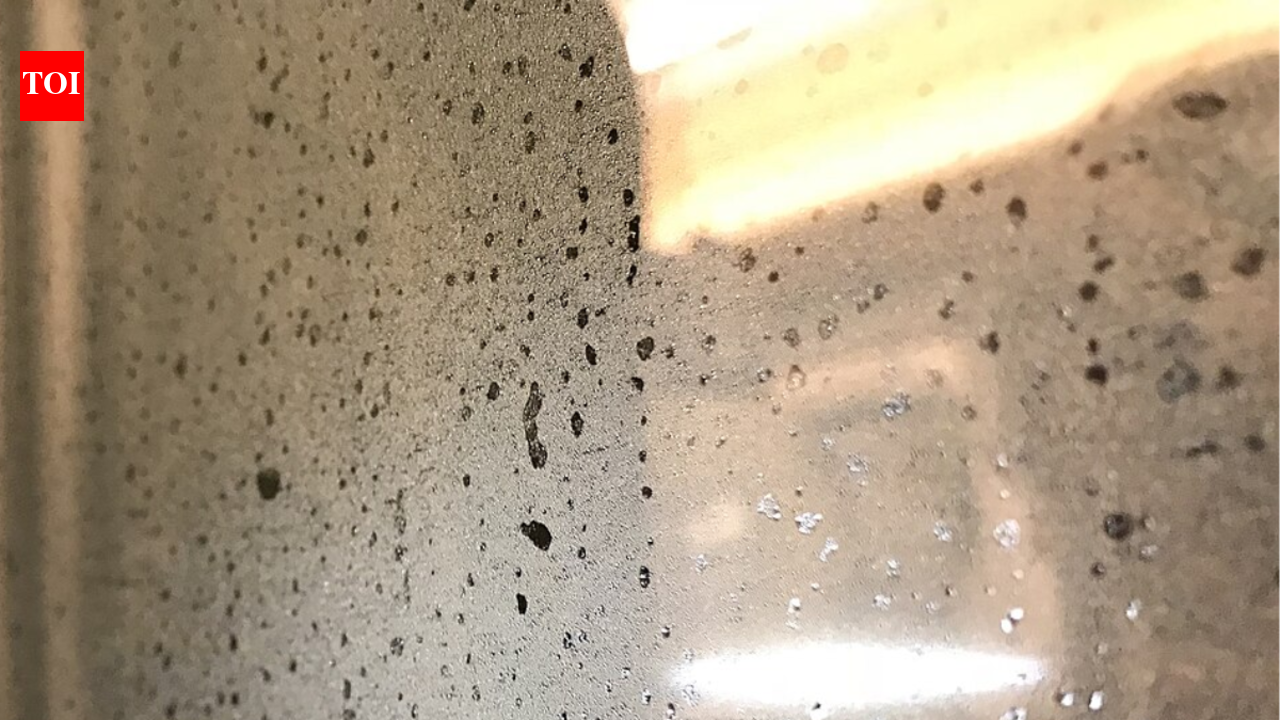 1778973106 photo