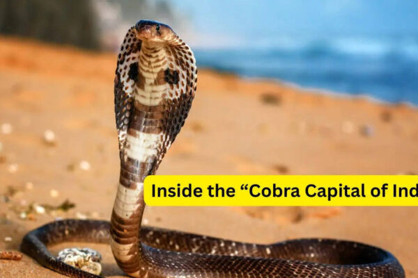 1779673191 photo