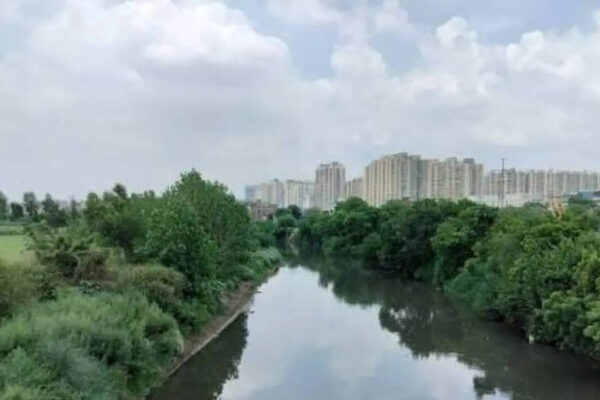 1782639168 photo