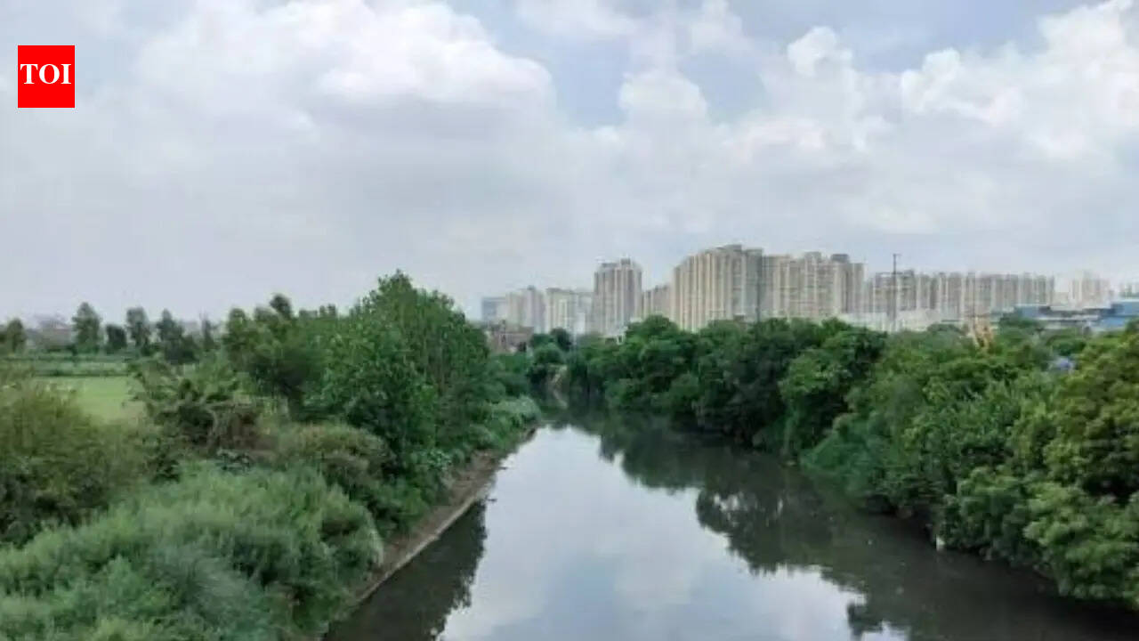 1782639168 photo