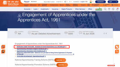 bank of baroda apprentice