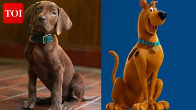 scooby doo movie