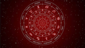 132098097.cms