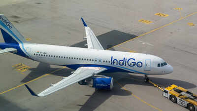 1784920091 indigo
