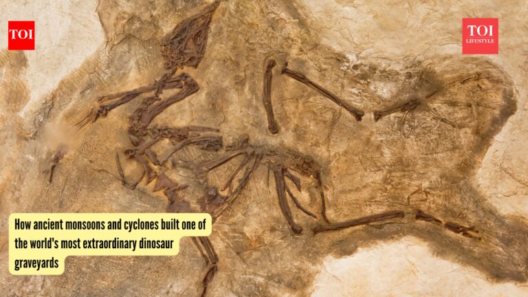 Dinosaur Graveyard: How ancient monsoons and cyclones built one of the world’s most extraordinary dinosaur graveyards
