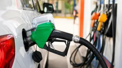 govt clarification on e20