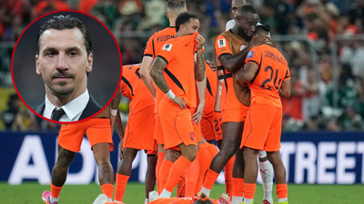 netherlands wcup soccer