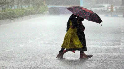 odisha schools closed
