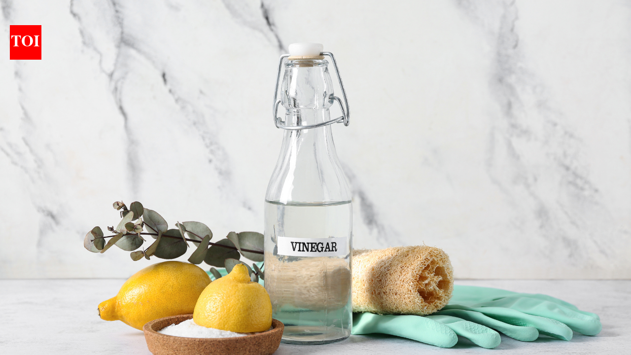 1786917063 photo