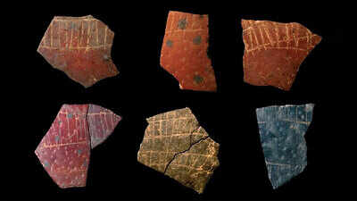60000 year old eggshell engravings