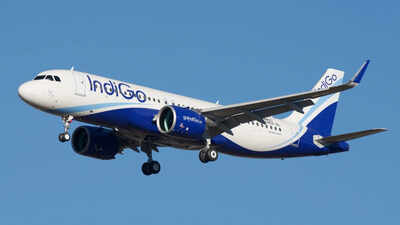 indigo ventures