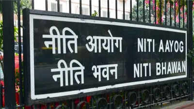 niti aayog flags gaps in professional services rules suggests easier licensing and wider mobility