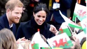 prince harry and meghan markle