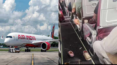 air india pilot sacked
