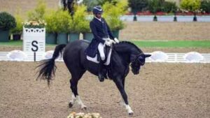equestrian