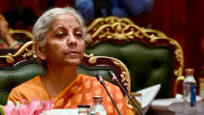 1791942206 finance minister nirmala sitharaman