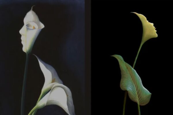 1792689624 photo